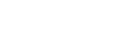 The Portugal News